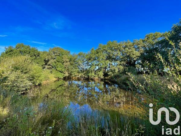 Maison à vendre 10 pièces 342 m² Falleron