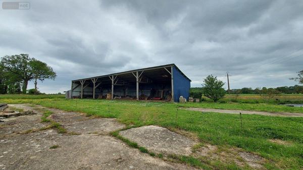 Corps de ferme à vendre à Astillé en Mayenne (53230), ref : 53034-28