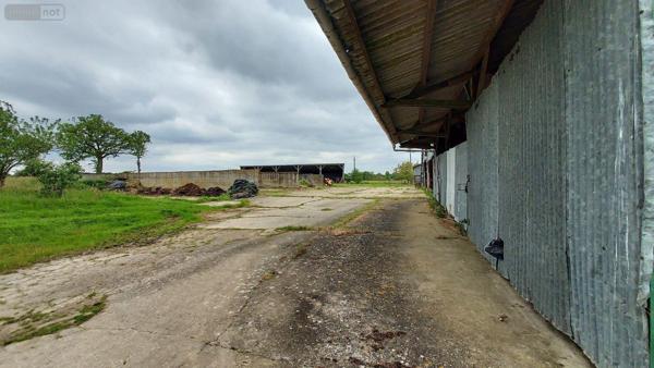 Corps de ferme à vendre à Astillé en Mayenne (53230), ref : 53034-28