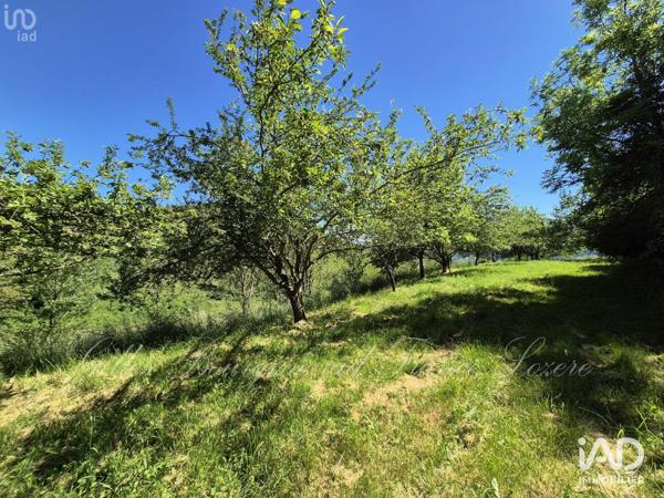 Maison à vendre 16 pièces 415 m² Bédouès-Cocurès