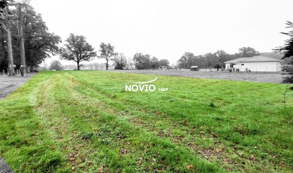 Terrain constructible 1650 m²
