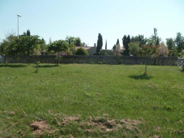 TERRAIN A BATIR DOLUS D OLERON - 527 m2