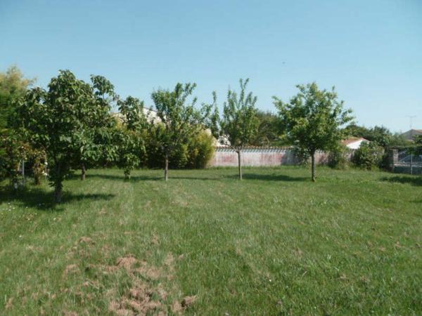TERRAIN A BATIR DOLUS D OLERON - 527 m2