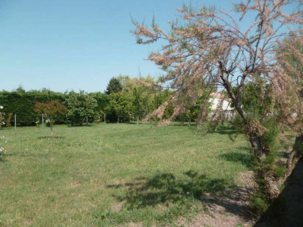 TERRAIN A BATIR DOLUS D OLERON - 527 m2