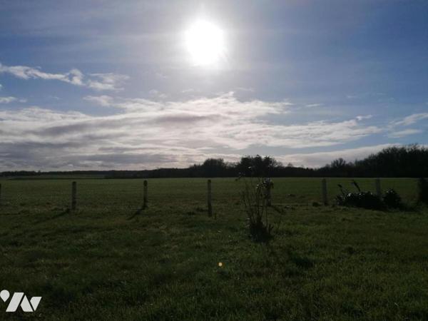 PAVILLON SUR SOUS SOL