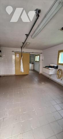 BASSOUES, ancienne ferme et dépendances  au bout du chemin