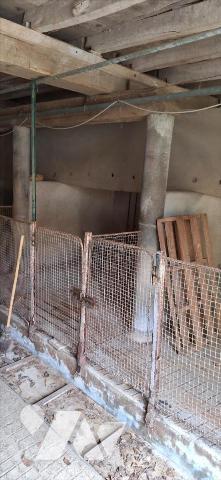 BASSOUES, ancienne ferme et dépendances  au bout du chemin