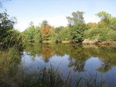 Terrain de loisirs - Bois - Etang à vendre à Fleurey-lès-Faverney en Haute-Saône (70160), ref : CP/E44