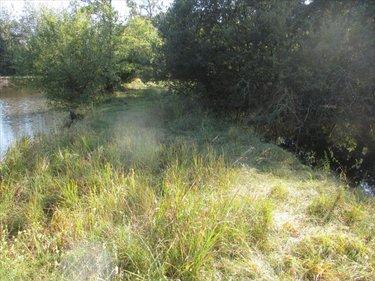 Terrain de loisirs - Bois - Etang à vendre à Fleurey-lès-Faverney en Haute-Saône (70160), ref : CP/E44