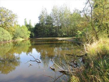 Terrain de loisirs - Bois - Etang à vendre à Fleurey-lès-Faverney en Haute-Saône (70160), ref : CP/E44