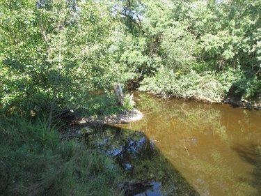 Terrain de loisirs - Bois - Etang à vendre à Fleurey-lès-Faverney en Haute-Saône (70160), ref : CP/E44