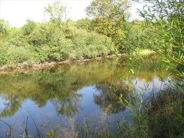 Terrain de loisirs - Bois - Etang à vendre à Fleurey-lès-Faverney en Haute-Saône (70160), ref : CP/E44