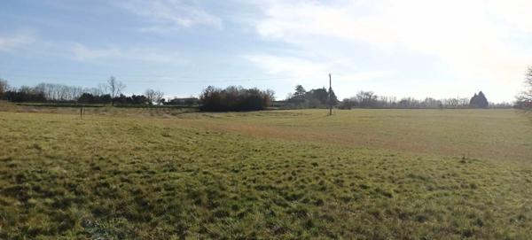 Terrain de 5139 m² dont 2707m² constructible.