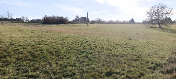 Terrain de 5139 m² dont 2707m² constructible.