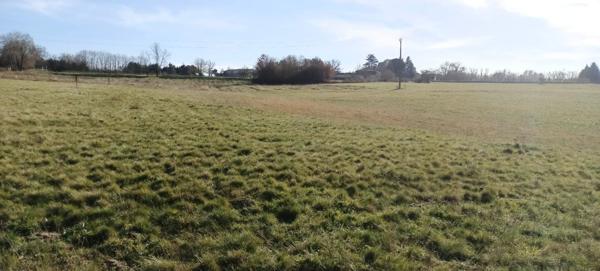 Terrain de 5139 m² dont 2707m² constructible.