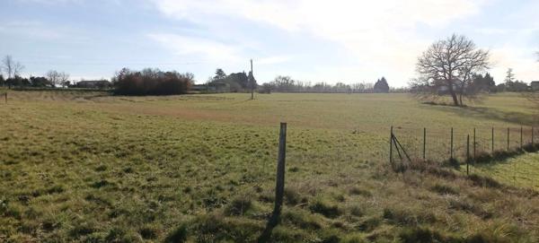 Terrain de 5139 m² dont 2707m² constructible.