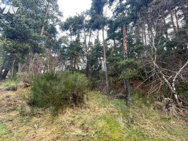 À VENDRE  PARCELLE BOISEE AU ROUCHAT