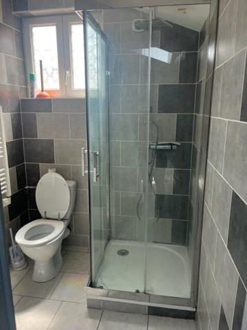 Appartement Epinal 1 pièces - 21.90 m2