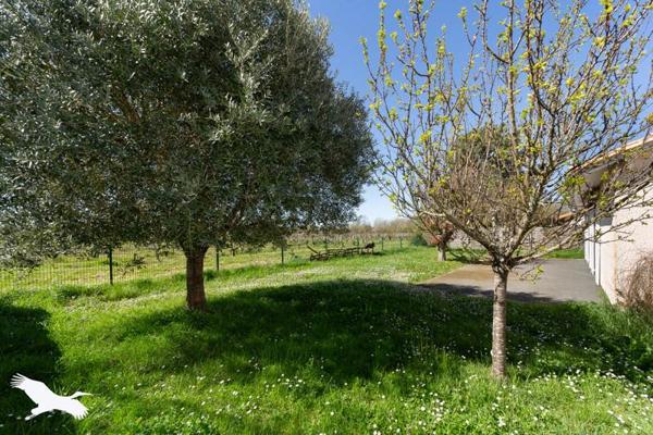 Maison à vendre |  Blaye |  5 pièces | 120 m²