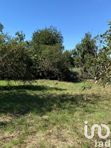 Terrain à vendre 1 397 m² Zillisheim