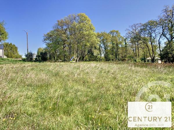 Terrain à vendre  3972 m2 PENESTIN - 56