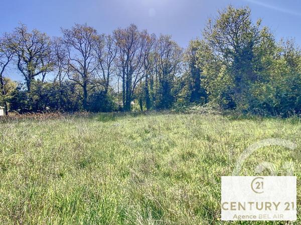 Terrain à vendre  3972 m2 PENESTIN - 56