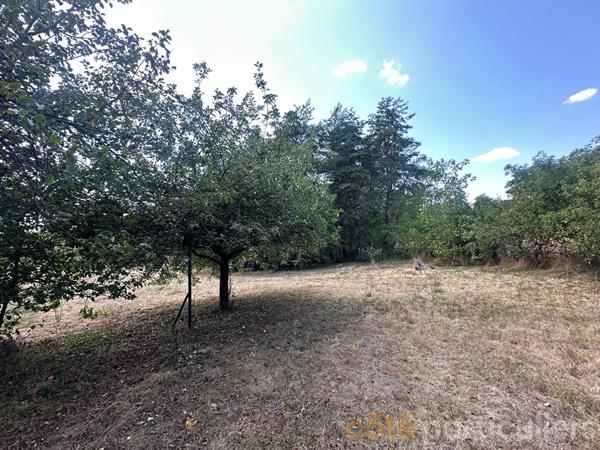 Vente
                Terrain6376 m² - SAINT AMAND MONTROND (18200)