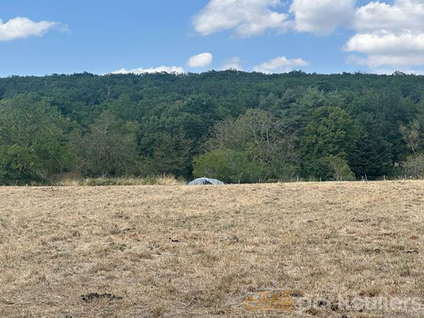 Vente
                Terrain6376 m² - SAINT AMAND MONTROND (18200)