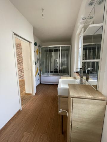 IMMEUBLE + LOCAL COMMERCIAL
