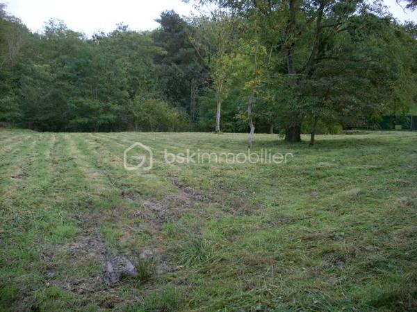 Terrain de 1 748 m²