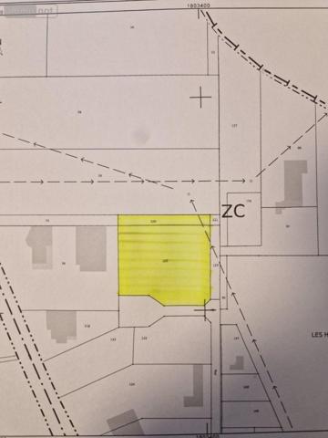 Terrain à usage professionnel à vendre à Polisot dans l'Aube (10110), ref : 10063/1268