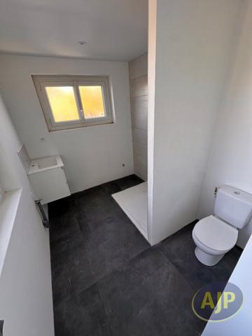 Location appartement Segre : 550 € - AJP Immobilier Segré