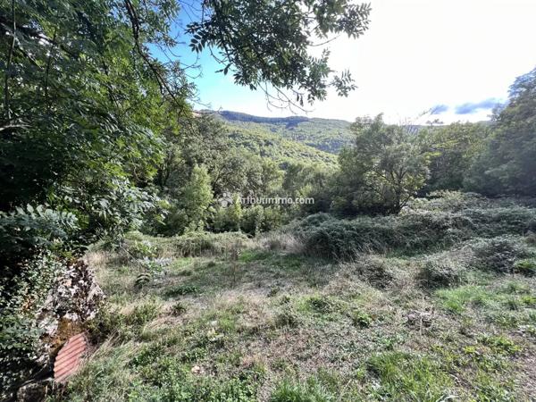 Vente Ferme 1 pièces à Saint-Jean-du-Bruel