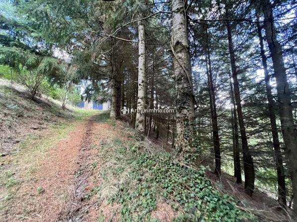 Vente Ferme 1 pièces à Saint-Jean-du-Bruel