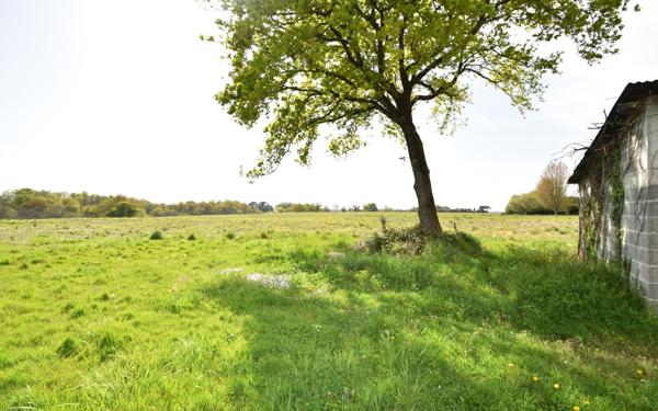 Maison à vendre    7 pièces •  Arzacq-Arraziguet