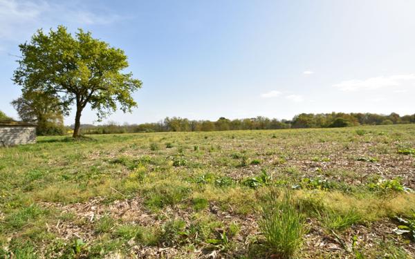 Maison à vendre    7 pièces •  Arzacq-Arraziguet