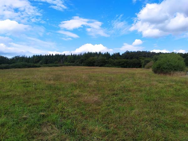 Propriété de caractère : Maison rénovée 80m² avec 1.25ha de terrain et 180m2 de dépendances