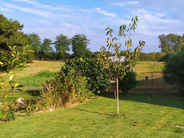 Propriété de caractère : Maison rénovée 80m² avec 1.25ha de terrain et 180m2 de dépendances