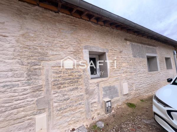 INVESTISSEMENT A CHEVGNY SAINT SAUVEUR EXCELLENT DPE