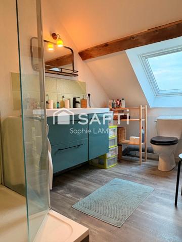 INVESTISSEMENT A CHEVGNY SAINT SAUVEUR EXCELLENT DPE