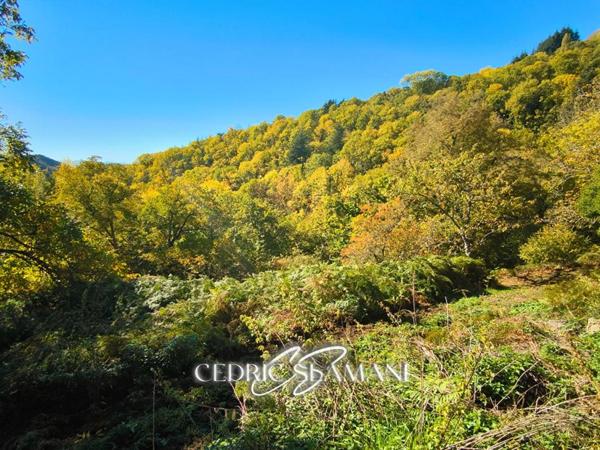 TERRAIN A BATIR ? CASTANS