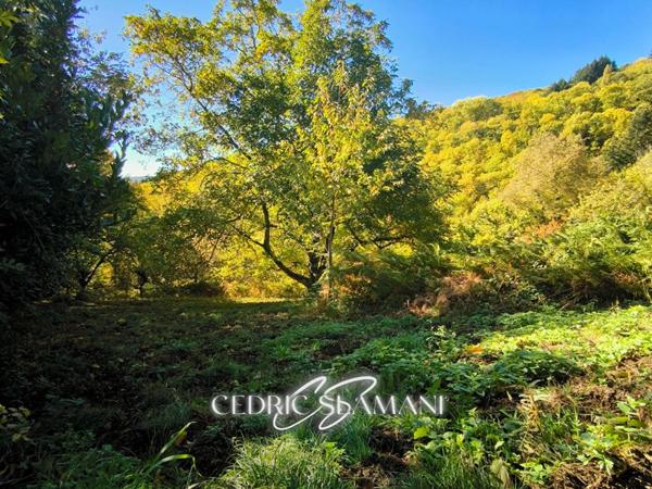 TERRAIN A BATIR ? CASTANS