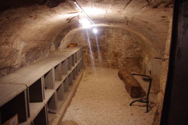 Charlieu (42190) Propriété proche Charlieu