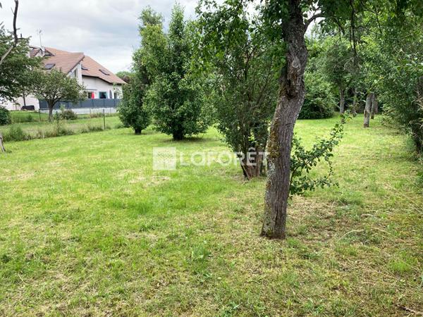 Achat terrain Valentigney - 767 m² - 61 000 €