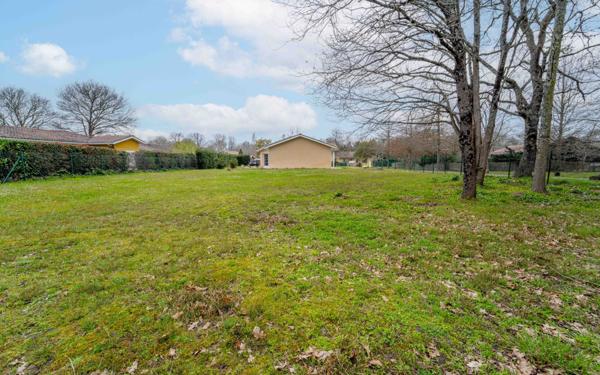 Maison à louer    4 pièces • 100 m2 Aureilhan