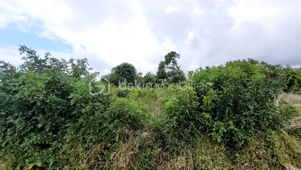 Lotissement de 1 850 m²