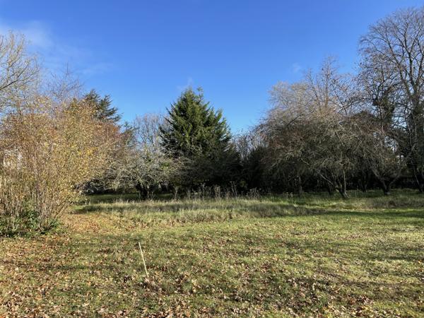 Pierrefonds (60350) Terrain constructible
