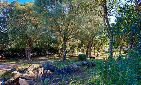 Parcelle constructible à 3 kms de Pinarello