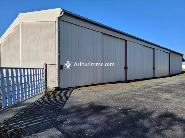 Vente                                                      Maison
                        
                     6 pièces                      140 m2                     à Saint-Jean-d'Angély