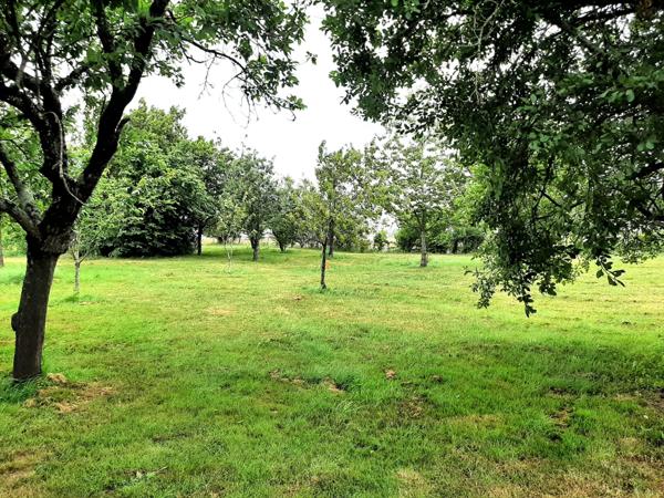 ENSEMBLE IMMOBILIER AVEC LOCATAIRE EN PLACE + LOCAUX PROFESSIONNELS – FONTENAY-LE-COMTE (1 km du centre commercial)